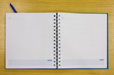 Mavi günlüğü kitap