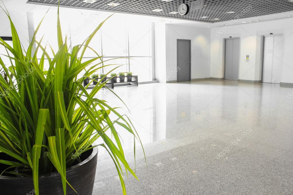 plant in office building