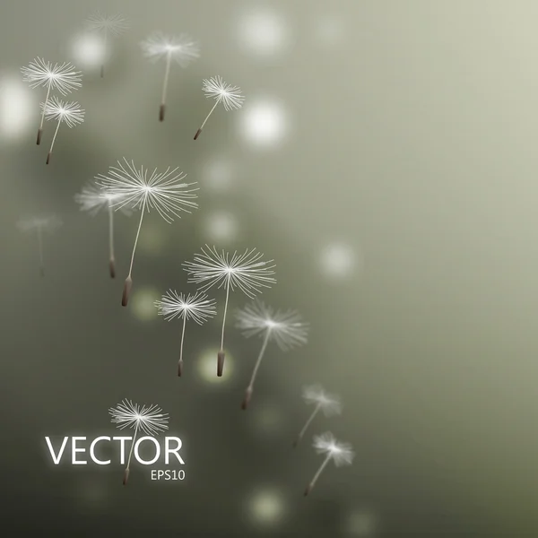 Diente de león — Vector de stock