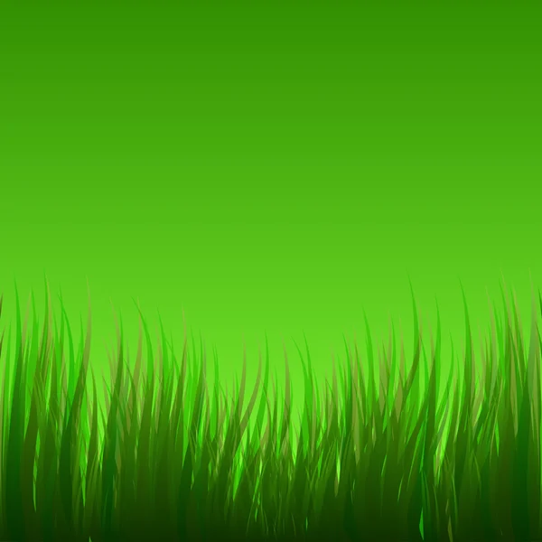 L'herbe — Image vectorielle
