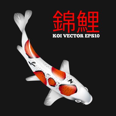 Koi fish clipart