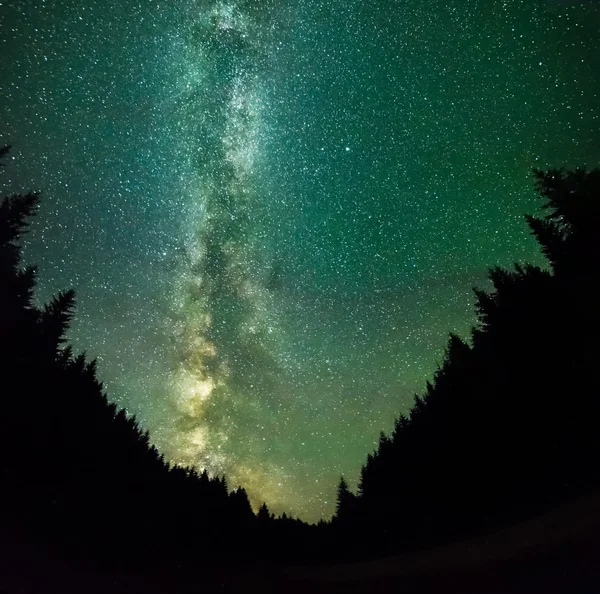 Nigt dağ orman-yıldız, derin uzay ve Samanyolu — Stok fotoğraf