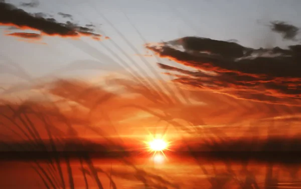 Sonnenuntergang Himmel Dramatische Wolken Und Gras Auf Blauem Himmel Licht — Stockfoto