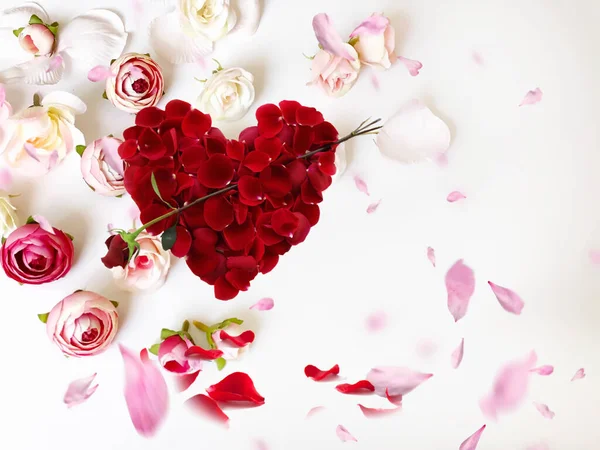 Красный Розовый Розовый Цветок Белые Розы Красный Символ Лепестка Сердца — стоковое фото
