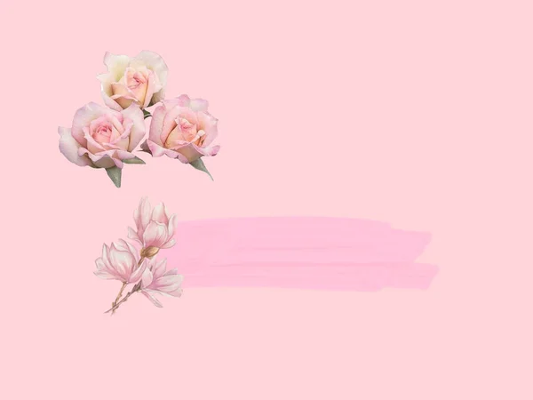 Růžové Růže Jarní Květiny Růžovém Pozadí Slavnostní Banner Šablona Kopírovat — Stock fotografie