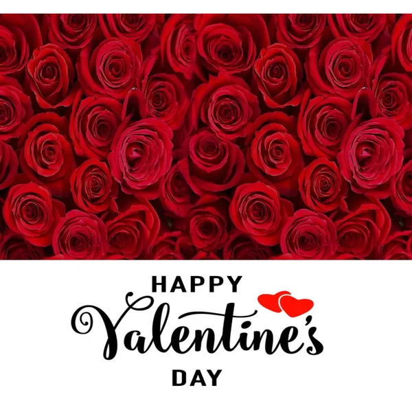 赤いバラと花弁の白い背景にバレンタインデーの挨拶テキストハートシンボルテンプレートバナーコピースペース — ストック写真