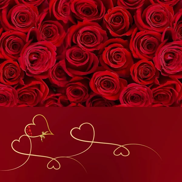 Rosas Rojas San Valentín Tarjetas Felicitaciones Florales Banner Plantilla Espacio — Foto de Stock