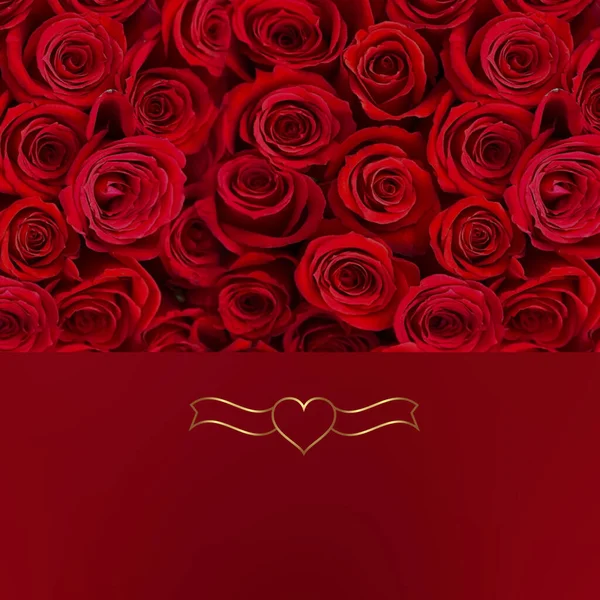 Rosas Rojas San Valentín Tarjetas Felicitaciones Florales Banner Plantilla Espacio — Foto de Stock