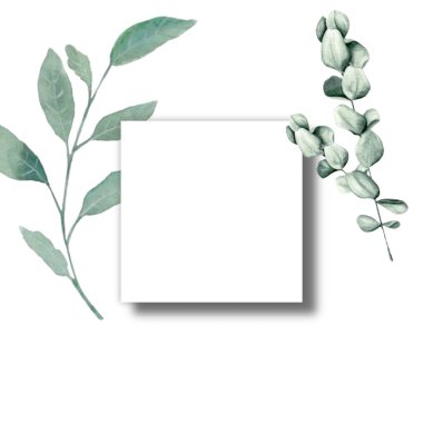 Beyaz davetiyeli tebrik kartı bir canavar yaprağı ve çiçeklerle süslenmiş sevgililer günü, düğün, mevsimlik fotokopi alanı şablonu 