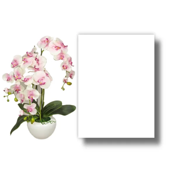 白色的请柬上挂着一个月桂树叶子和玫瑰的造型情人节 季节性的夏装空间模板 — 图库照片