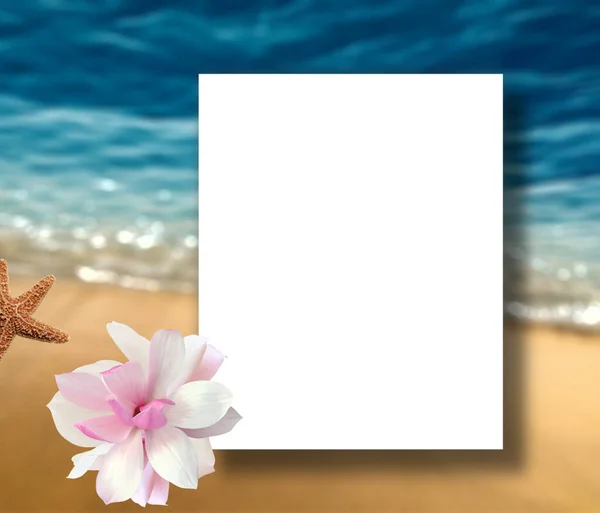 热带蓝海岸棕榈叶和花暑期短信邀请卡 模版空间造型背景 — 图库照片