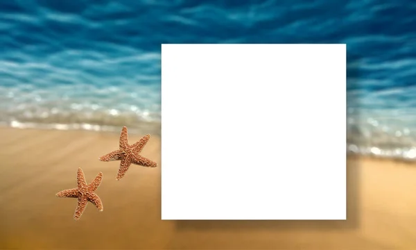 Tropikalny Niebieski Morze Plaża Liść Palmy Kwiaty Lato Tekst Zaproszenie — Zdjęcie stockowe