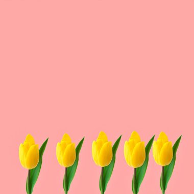  Sarı lale pembe arka planda yaz çiçekleri, çiçekli arka plan şablonu kopya alanı 