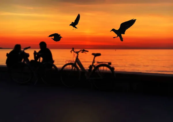 Romantisches Paar Mit Fahrrad Orangefarbener Sonnenuntergang Meer Menschen Silhouette Meer — Stockfoto