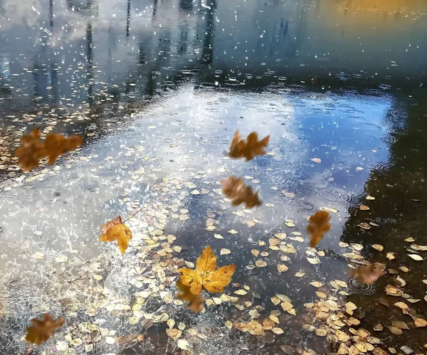 Tempo Chuvoso Céu Reflexão Poça Água Asfalto Após Bolhas Chuva — Fotografia de Stock