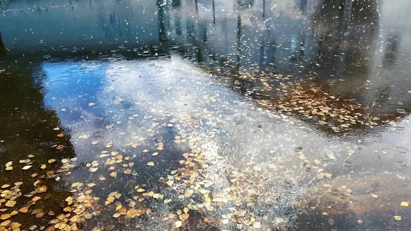 Tempo Piovoso Cielo Riflessione Acqua Pozzanghera Asfalto Dopo Bolle Pioggia — Foto Stock