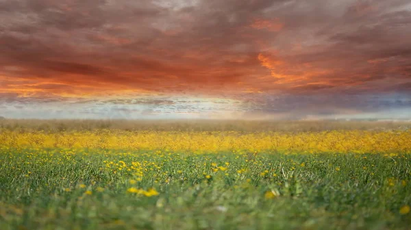 Dramatic Sunset Orange Pink Blue Cloudy Night Sky White Yellow — Stock Photo, Image