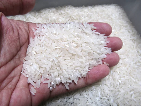 Rice Texture Background Hand Tangerang Selatan Indonesia September 8Th 2021 — Stock Photo, Image