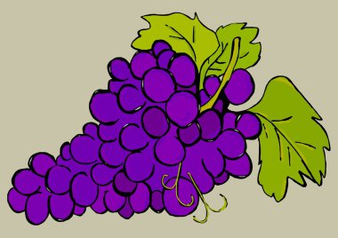 Bir avuç üzüm görüntüsünü