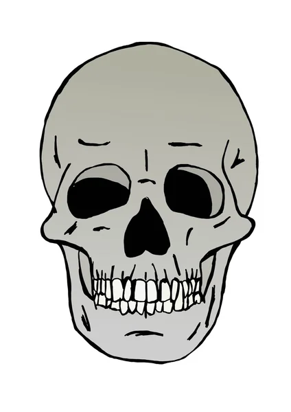 Imagen de una cabeza de cráneo — Foto de Stock