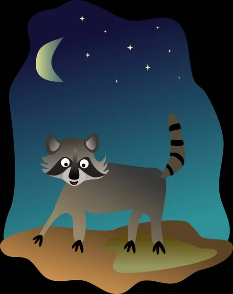 Raccoon Walking Night — Stock Vector