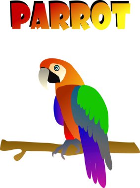 Renkli bir papağan resmi