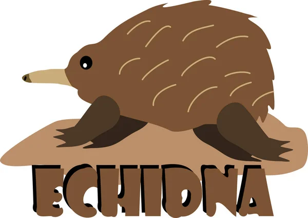 Image Echidna Mammal — Stock Vector