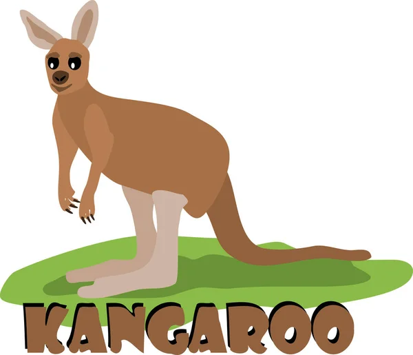 Zole Edilmiş Bir Kanguru Görüntüsü — Stok Vektör