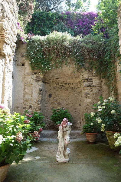 Trädgård Inne Aragonien Slott Ischia Island Italien — Stockfoto