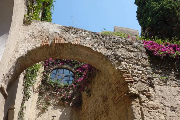Garden Aragonese Castle Ischia Island Italy — Stock Photo, Image