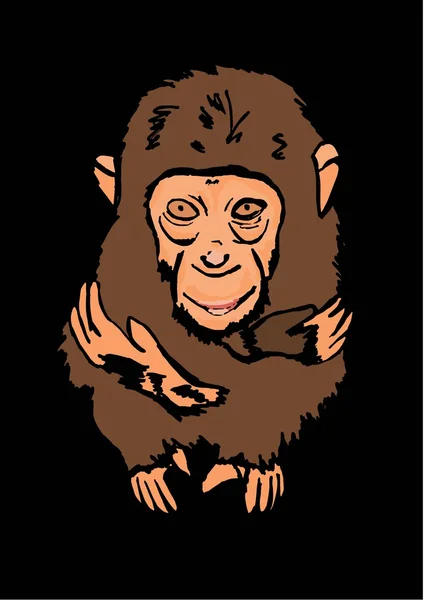 小猴子 — 图库照片