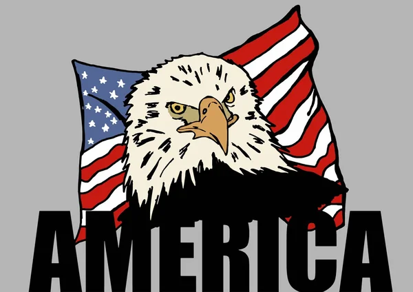 Amerikanischer Adler — Stockfoto