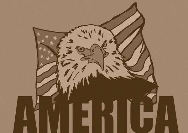 American eagle vintage — Stok fotoğraf