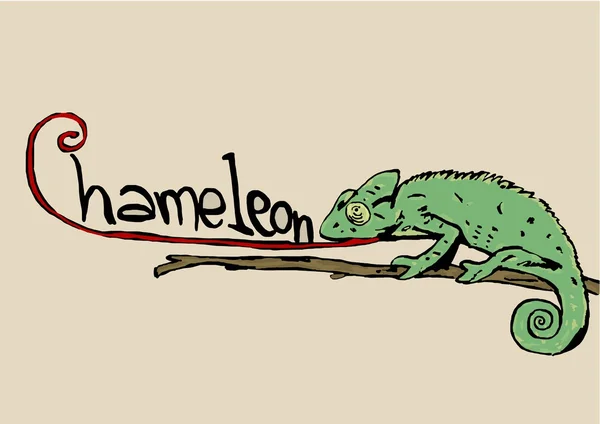Chameleon met tekst — Stockfoto