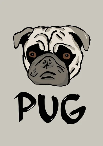 Cão pug — Fotografia de Stock