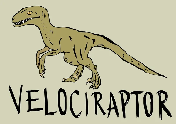 Velociraptor — Fotografia de Stock