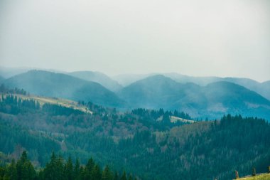 Korpati dağları, bulutlardaki dağlar ve yeşil çimenler.