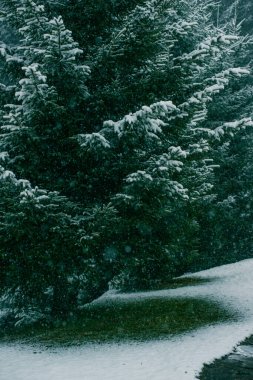 Dağlar kış tesisi sessizliği Güzel manzara temiz hava