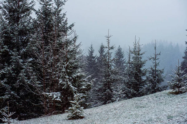 Hegyek Téli Üdülőhely Csend Gyönyörű Kilátás Friss Levegő — Stock Fotó