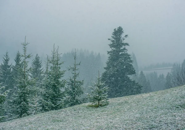 Hory Zimní Resort Ticho Krásný Výhled Čerstvý Vzduch — Stock fotografie