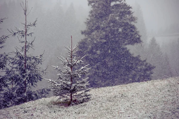 山冬のリゾート沈黙美しい景色新鮮な空気 — ストック写真