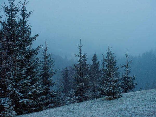 Montagnes Hiver Station Silence Belle Vue Air Frais — Photo