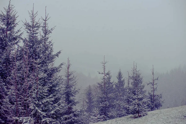 Berg Vinter Resort Tystnad Vacker Utsikt Frisk Luft — Stockfoto