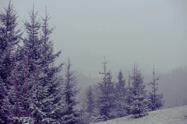 Montagnes Hiver Station Silence Belle Vue Air Frais — Photo