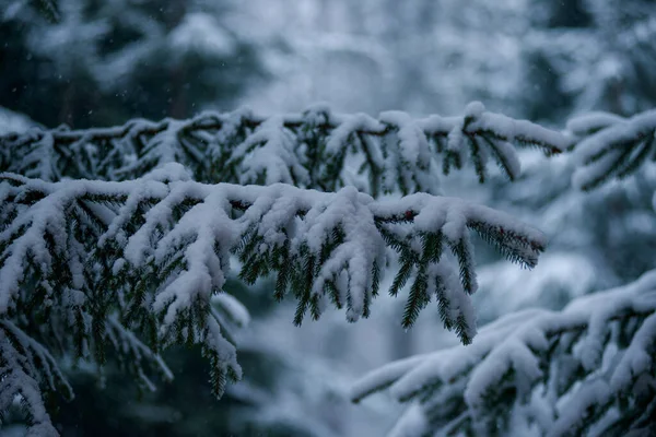 Montagnes Hiver Station Silence Belle Vue Air Frais — Photo