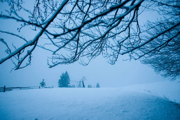 Montagnes Hiver Station Silence Belle Vue Air Frais — Photo