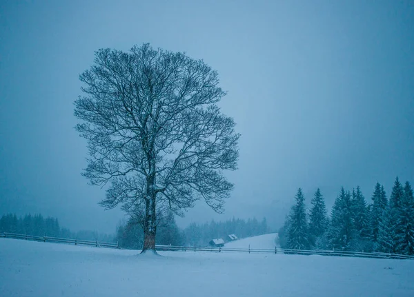 Montagnes Hiver Station Silence Belle Vue Air Frais — Photo