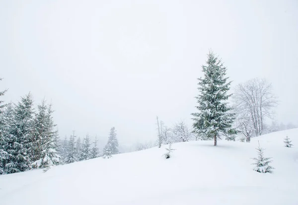 Neujahr Schnee Den Bergen Schöne Aussicht Auf Die Berge Und — Stockfoto