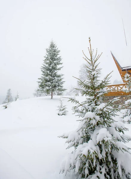山中的白雪公主 美丽的山景 树枝和冬季的空气 — 图库照片