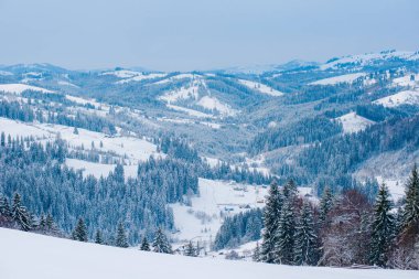 Dağlarda yeni yıl karı, dağların ve ağaçların güzel manzarası dallar ve kış havası.